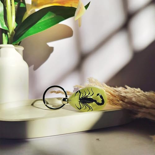 Image of DezArt Glow in the Dark Scorpion Keychain | Preserved Insect Resin Keychain | Unique Handcrafted Gift for Men Women
