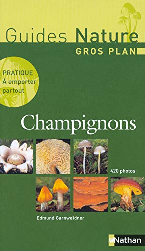Champignons