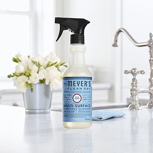 Image of Mrs. MEYER'S CLEAN DAY All-Purpose Cleaner Spray,Rain Water,16 fl. oz,(Pack of 6)