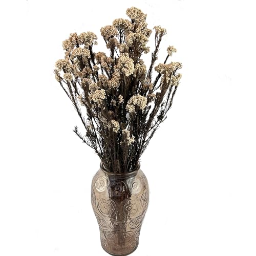 Dried Flower Rice Flower White Dogwood 20 piezas miniatura 4