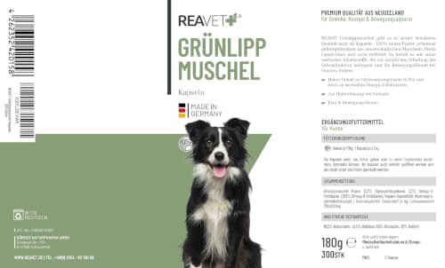 ReaVET Grünlippmuschel Kapseln für Hunde hochdosiert 300Stk – Reines Grünlippmuschelpulver aus Neuseeland I Ergänzungsfuttermittel für Gelenke, Knorpel & Bewegungsapparat