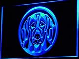fonctionne sur le 220 volts Enseigne Lumineuse i654-b Beagle Dog Breed Pet Shop Neon Light Sign