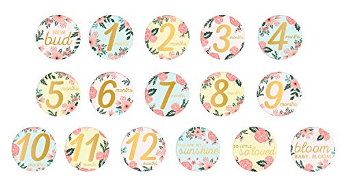 Pearhead Memory Book With Included Baby Belly Stickers, Modern Baby First Year Journal, Babys First Year, Baby Shower, Floral #TOP2