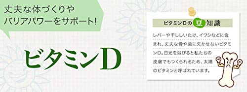 Decatela DHC ビタミンD 30日分