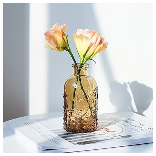 Vintage Embossed Clear Glass Bottles with Cork Lid,URMAGIC Tabletop Decorative Glass Bottle,Clear Flower Bud Vases,5.11x2.4 Inch Apothecary Jars,Mini Hydroponics Planter Decorative Vase