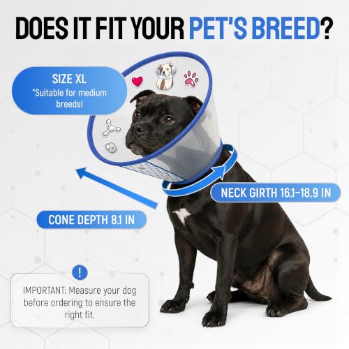Image of SILVER GRADE Dog Cone Collar for Recovery, Size XL, Neck Girth 16.1-18.9 in