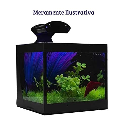 Aquário Betteira com Iluminação LED Bivolt e Decoração Aquabetta 17x15x15cm