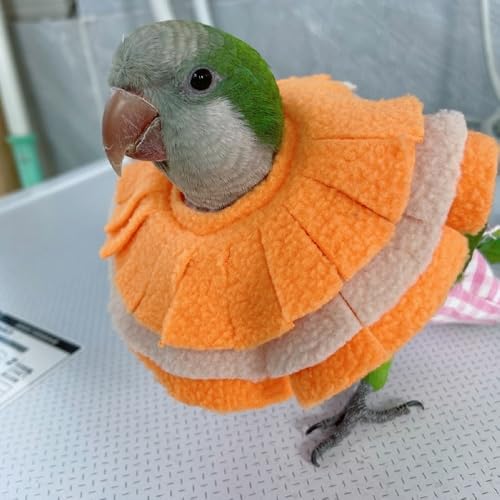Image of RRRIOT Adjustable Parrot Cone Collar, Safe and Practical Cotton Collar to Prevent Bites and Licking Wounds, to Help heal (2M)