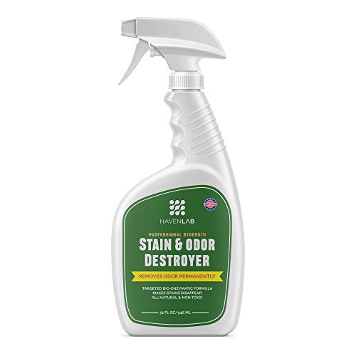 HAVENLAB Stain & Odor Destroyer-Dog & Cat Enzymatic Pee Eliminator-Carpet, Rug, Floor, Furniture-Smell Remover for Pet Urine, Feces, Vomit and Organic Spills-Concentrated Formula-32 Oz!!