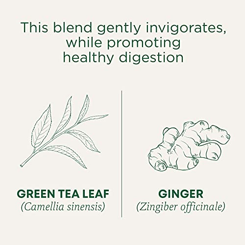 Traditional Medicinals Tea, Organic Green Tea Ginger, Promotes Healthy Digestion, 96 Tea Bags (6 Pack) - Thumbnail 3
