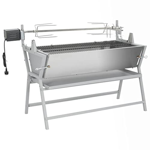 vidaXL Rôtissoire en Fer Acier Inoxydable Barbecue Grill Électrique Jardin