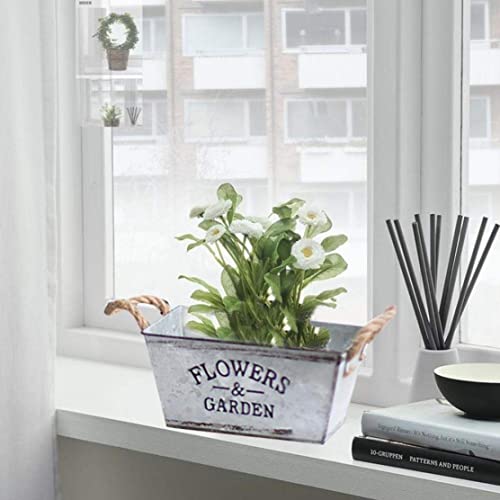 Plant hydroponic container en fer résistant pour balcon abrité