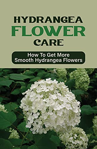 Hydrangea Flower Care: How To Get More Smooth Hydrangea Flowers: How To Grow & Care For Hydrangeas