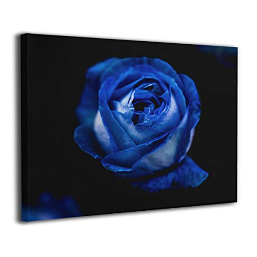 Tour Edge Hot Launch E525 Gap Wedge 46* (Graphite UST Helium Black Regular, Left) 2025