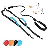 BVEOYPET Double Dog Leash,360° Swivel No Tangle Double Dog Training Leash,Shock Absorbing Bungee for Two Dogs,Dual Dog Leash (Blue)