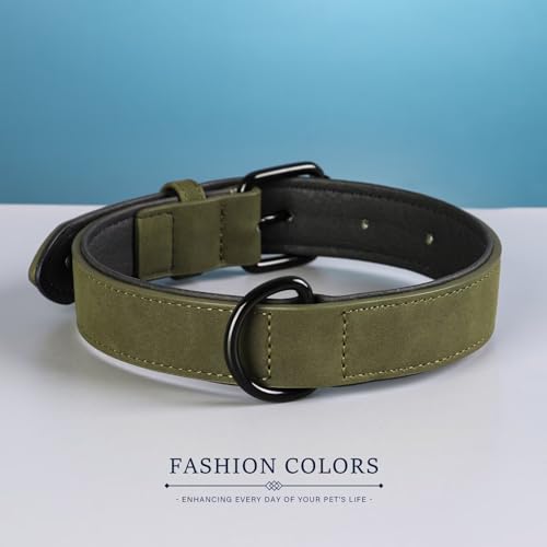 Image of Didog Soft PU Leather Dog Collar, Breathable Padded, Dark Green Neck 18-22 inch