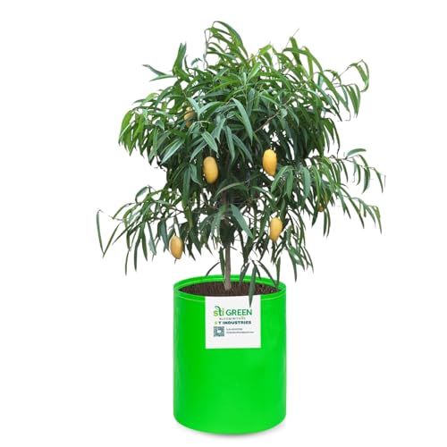 Image of HDPE Grow Bags for Plants 15X18 Inch (Pack of 1) | 260 GSM Heavy Duty UV-Protected Round Green Colour Plant Bags for Terrace and Vegetable Gardening | Strong & Reusable|