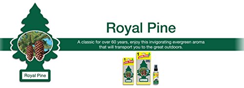 Little Trees Car Air Freshener | Hanging Paper Tree For Home Or Car | Royal Pine | 12 Pack #TOP24