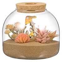 iplusmile Glas Pflanze Terrarium Tischplatte Sukkulenten Pflanzgefäß Ostern Süßigkeiten Keksglas Niedlicher Behälter Runde Fischschale Vase Versiegelte Glasflaschen Phiole mit Korkdeckel zum Basteln