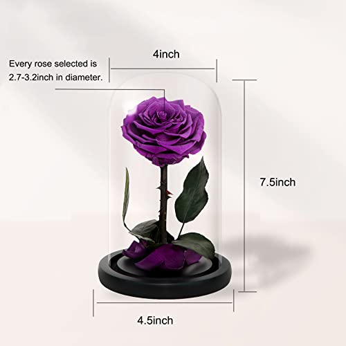 Natroses Handmade Preserved Roses In Glass Dome, Long Lasting Purple Roses Real, Glass Rose For Valentine’s Day, Christmas, Mother’s Day, Birthday, Anniversary, Wedding, Thanksgiving #TOP1