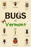 Bug Of Vermont: Identification Log Book for Insect Enthusiasts, Bug Journal to Observe and Record Bug & Insect Collecting Information, Bug Lovers (Gifts for Kids And Adults Entomologists)
