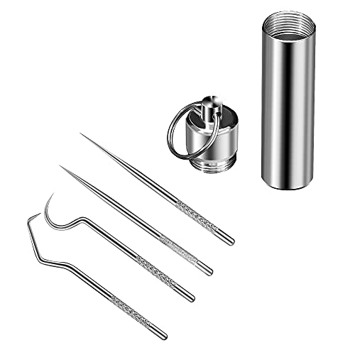Metal Toothpick for Cleaning, Titanium Toothpick Metal Toothpick Set, Stainless Steel Reusable Toothpick with Holder, Waterproof Portable Toothpick for Cleaning teeth, Outdoor Household Travel