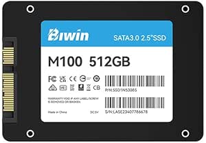 Biwin M100 512GB SSD 2.5
