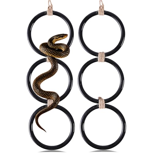 YNSHOUNA 2 Pack Snake Enrichment Rings, Ball Python Tank Accessory, Python Playground Climbing Toys, Corn Snake Enrichment Toy, Reptile Tank Cage Habitat Accessory