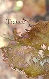 sulle tracce della storia  Tracce (Il mondo dentro Vol. 10)