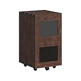 Furniture of America Days Rustic Walnut 2-Drawer File Cabinet