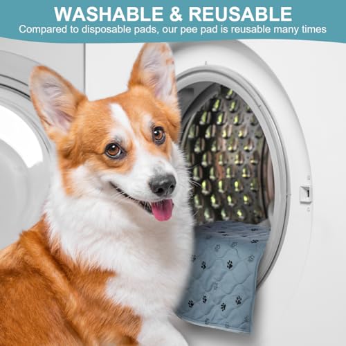Aomig Waschbare Welpen-Trainingspads 2Pcs Haustier-Urinunterlage Welpenunterlagen Wiederverwendbare Hundetrainingspads Puppy Pads Hunde Katzen Welpen Altere Inkontinente Hunde(Grau Footprints,40*60cm)