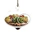 Bliss Gardens Curvy Hanging Succulent Moss Terrarium