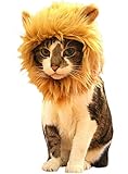 SPORER Löwenmähne Katzen-Perücke, FMJI Haustierkostüm, für kleine Hunde, synthetisches Zubehör mit Ohren für Halloween und Weihnachten, Gold (J))