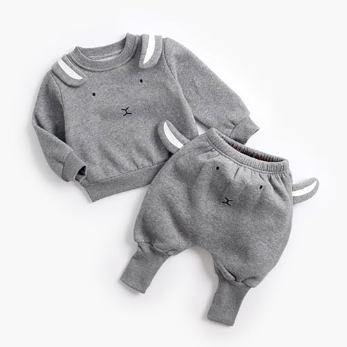 Toddler Baby Boy Girl Outfit Cartoon Dinosaur Long Sleeve Sweatshirt and Long Pants 2Pcs Winter Clothes4