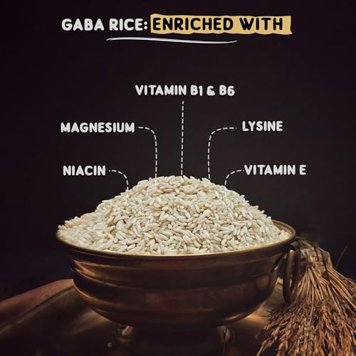 Gabia Rice Dhatu Organics Germinated Brown Rice 1 kg (Pack of 2) | GABA Rice ...