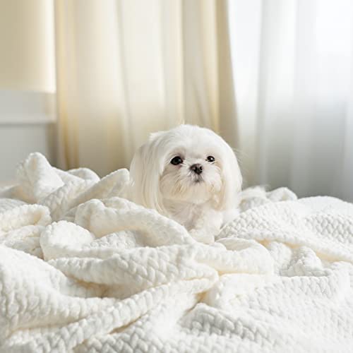 Kingole Flannel Fleece Luxury Throw Blanket, Cream White King Size Jacquard Weave Pattern Cozy Couch/Bed Super Soft And Warm Plush Microfiber 350Gsm (108 X 90 Inches) #TOP2