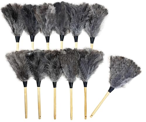 Alta Dusting Products (Qty. 12) (Cleaning Company Series) 20