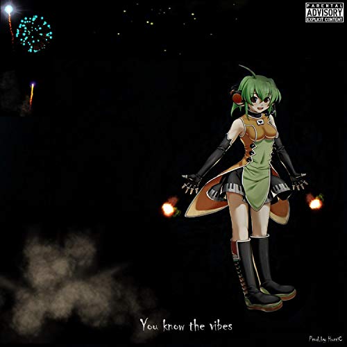  You Know the Vibes [Explicit]