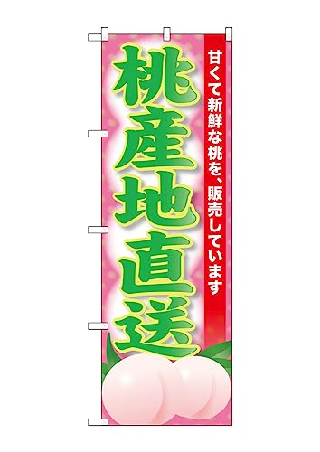 ̂ڂ ̂ڂ SNB-9799 Yn W60×H180cm 1 OO ̑ ɐy󒍐Yiz