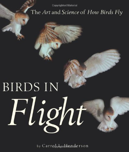 Birds in Flight: The Art and Science of How Birds Fly