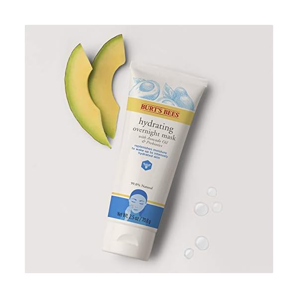 Burt's Bees Hydrating for Unisex, Overnight Mask, 2.5 Oz