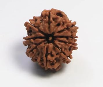 QUEEN-GEMS 9 Mukhi Rudraksha Nine Face Rudraksh Nepal Bead- -Lab Certified in Silver Navmukhi Durga Maa Rudraksha 9 Faced Nau Mukhi Rudraksh Yoga Pendant
