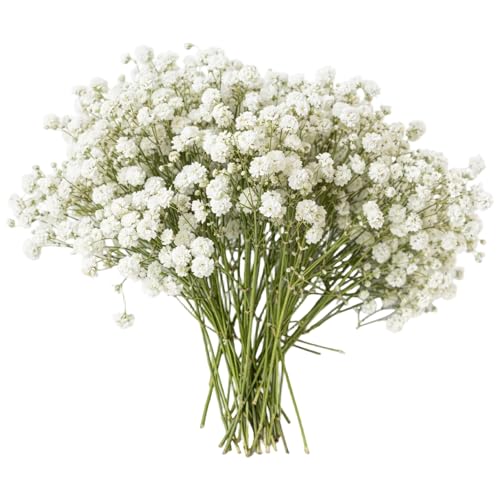 100 PCS Gypsophila Artificial Flowers Natural Dried Flowers for Resin Floral Arrangements for DIY Crafts and Resin Art Projects Home Decor and Wedding Card Design