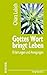 Gottes Wort bringt Leben: Erfahrungen und Anregungen (Minima) - Lubich, Chiara