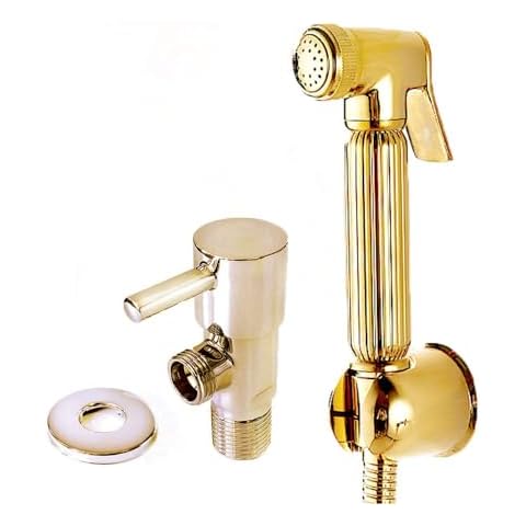 Douche en laiton doré Xcel Home Cover