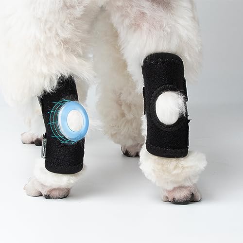 Image of Dog Leg Braces for Back Leg, Dog Knee Brace Compression Support for Dog Joints and Legs, for Injury and Sprain Protection, Wound Care and Lost of Arthrit Stability (Large)
