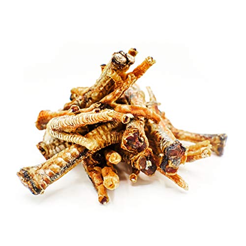 DOG Performance Snack Naturale per Cani a Base di