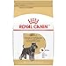Royal Canin Miniature Schnauzer Adult Breed Specific Dry Dog Food, 10 lb. bag