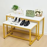 Novabright 2 Pack Metal Gold Shoe Handbag Display Stand, Gold Modern Nesting Tables Shoe Racks Boutique Display Table for Retail, Garment, Shoes, Ornaments, Handbag, Dessert, 100lbs Load Capacity
