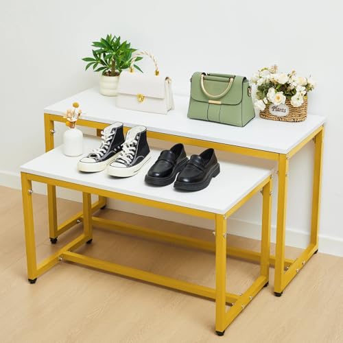 Novabright 2 Pack Metal Gold Shoe Handbag Display Stand, Gold